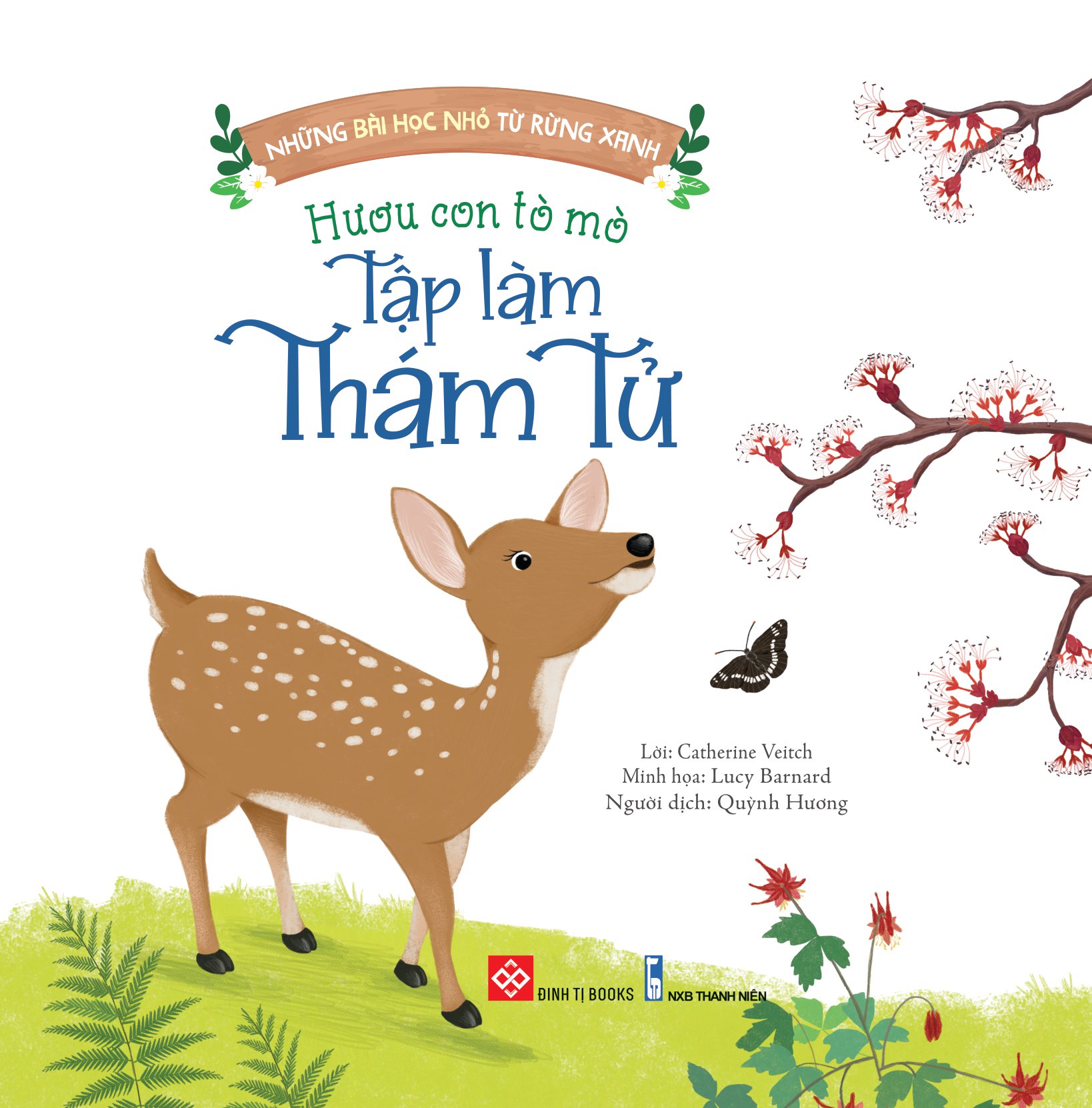 bộ sách những bài học nhỏ từ rừng xanh (bộ 4 cuốn) - Ảnh 7