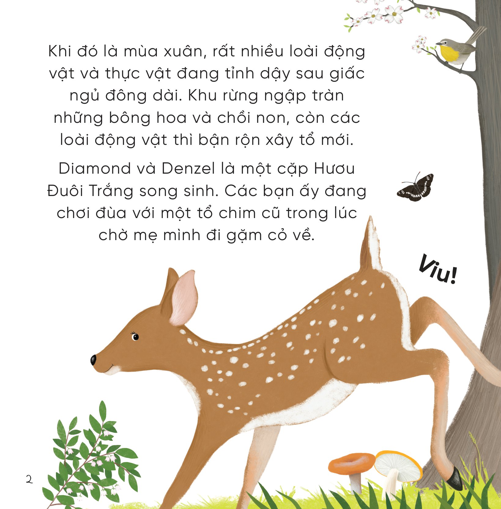 bộ sách những bài học nhỏ từ rừng xanh (bộ 4 cuốn) - Ảnh 8