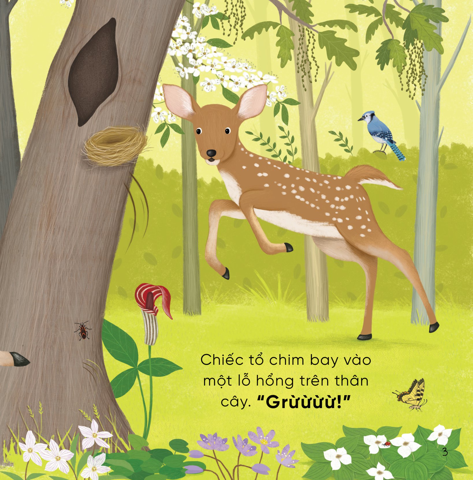 bộ sách những bài học nhỏ từ rừng xanh (bộ 4 cuốn) - Ảnh 9