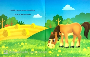 bộ sách những câu chuyện về thế giới loài vật 1 (bộ 6 cuốn) - Ảnh 12