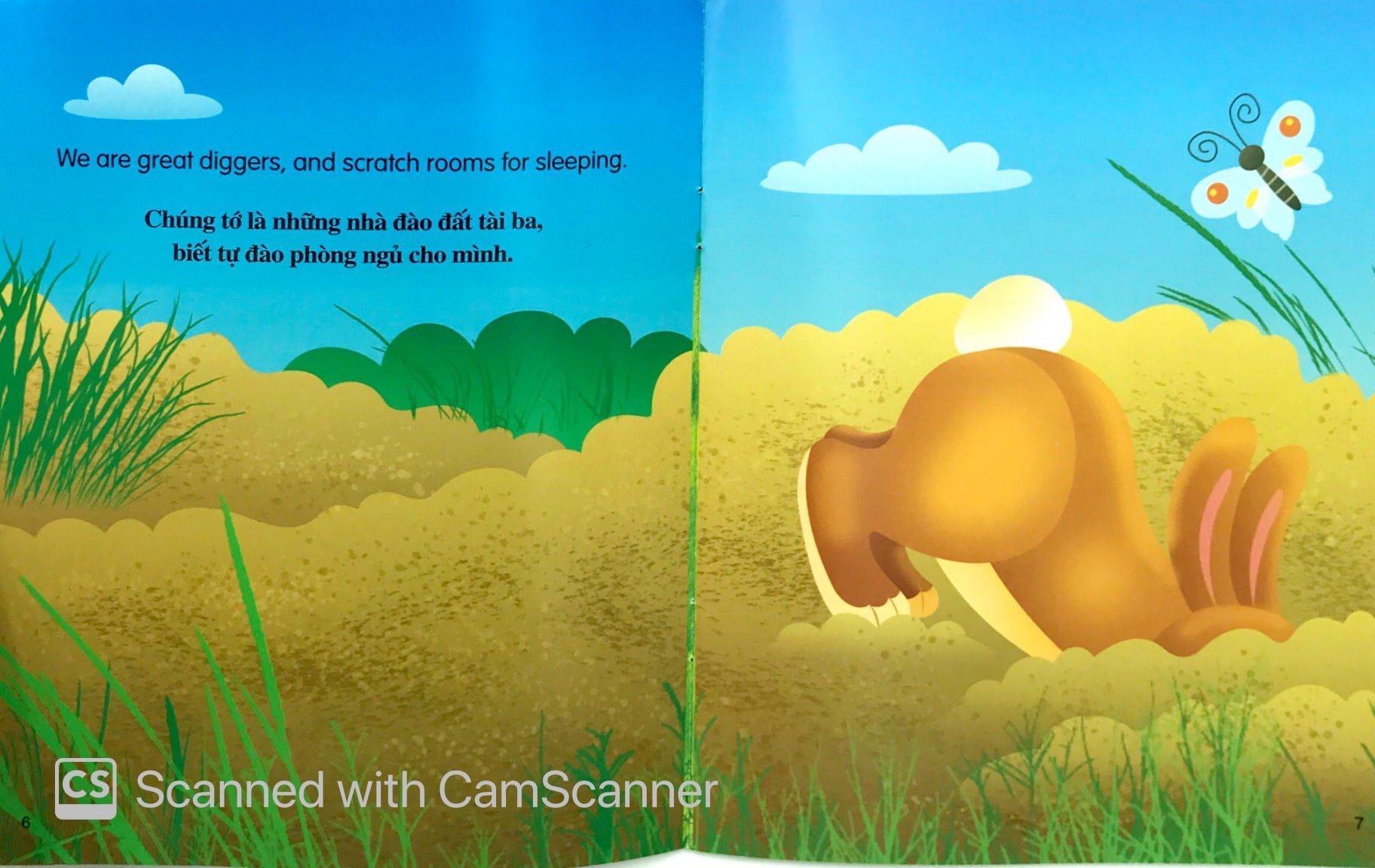 bộ sách những câu chuyện về thế giới loài vật 2 (bộ 6 cuốn) - Ảnh 16