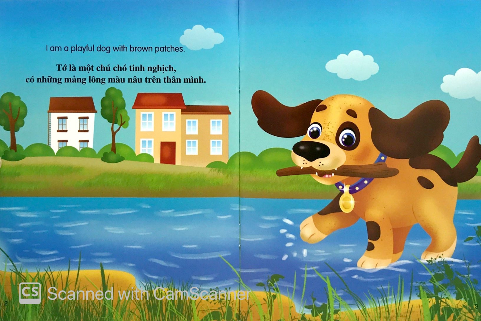 bộ sách những câu chuyện về thế giới loài vật 2 (bộ 6 cuốn) - Ảnh 9