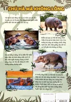 bộ sách the young scientist - truyện tranh khoa học cho trẻ em - tập 8 - level 1+2+3 (bộ 3 cuốn) - Ảnh 11