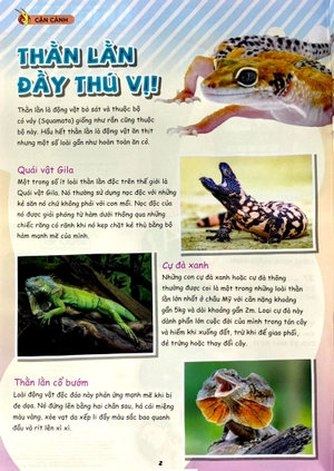 bộ sách the young scientist - truyện tranh khoa học cho trẻ em - tập 8 - level 1+2+3 (bộ 3 cuốn) - Ảnh 15