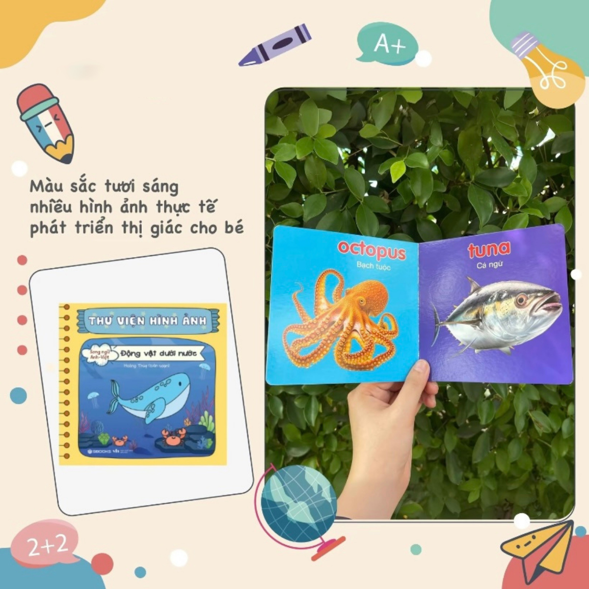 Bo Sach Thu Vien Hinh Anh (Bo 9 Cuon) - Ảnh 4