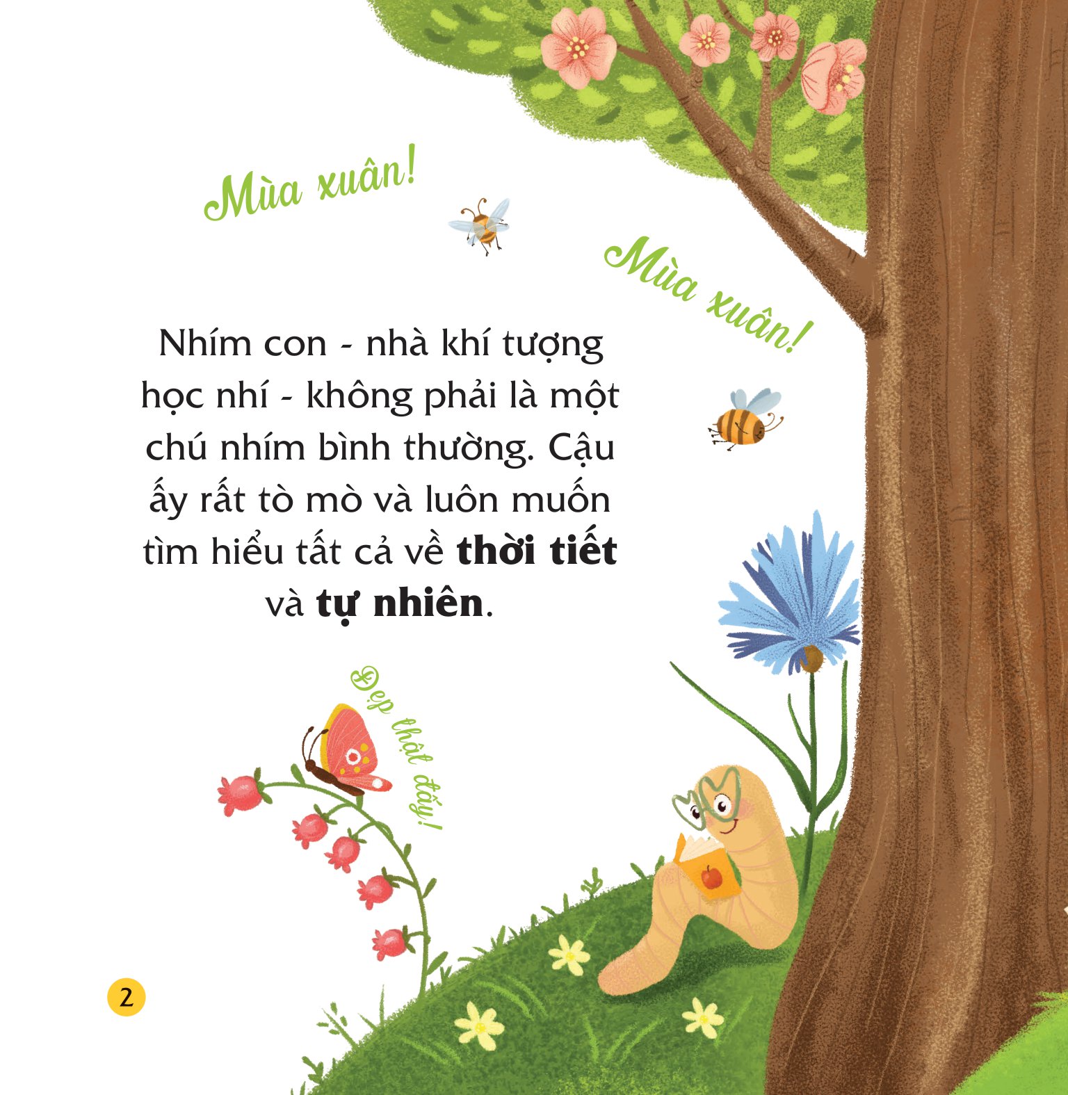 bộ sách truyện kể bốn mùa - nhím con ham học hỏi (bộ 4 cuốn) - Ảnh 3