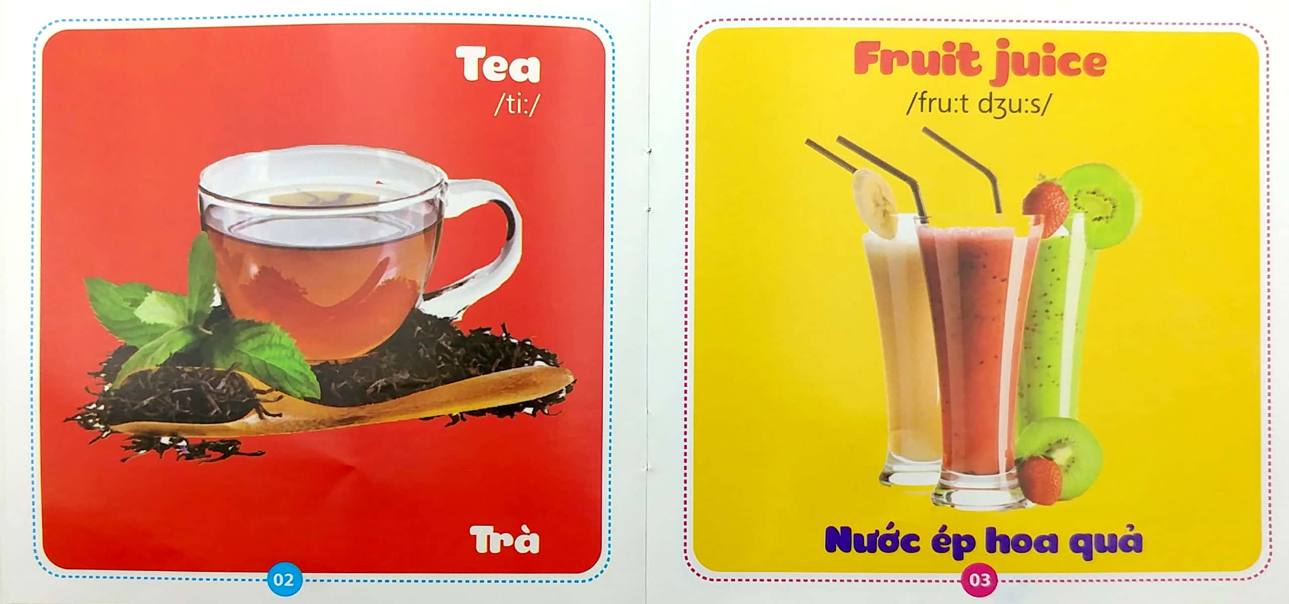 bộ sách từ điển bằng hình cho bé (song ngữ anh-việt) - bộ 10 cuốn - Ảnh 10