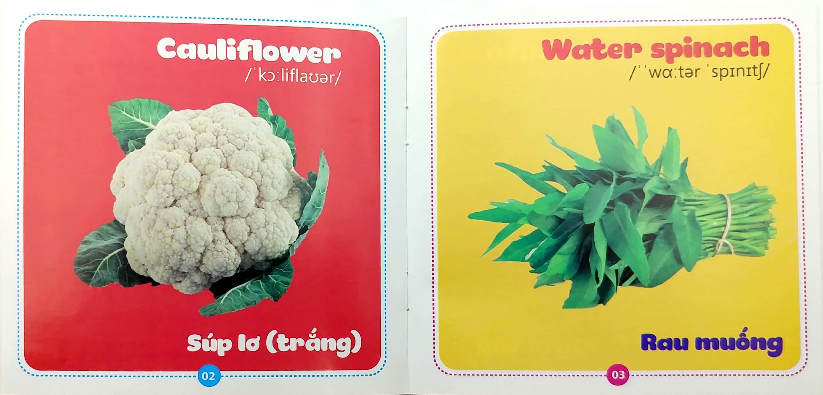 bộ sách từ điển bằng hình cho bé (song ngữ anh-việt) - bộ 10 cuốn - Ảnh 14