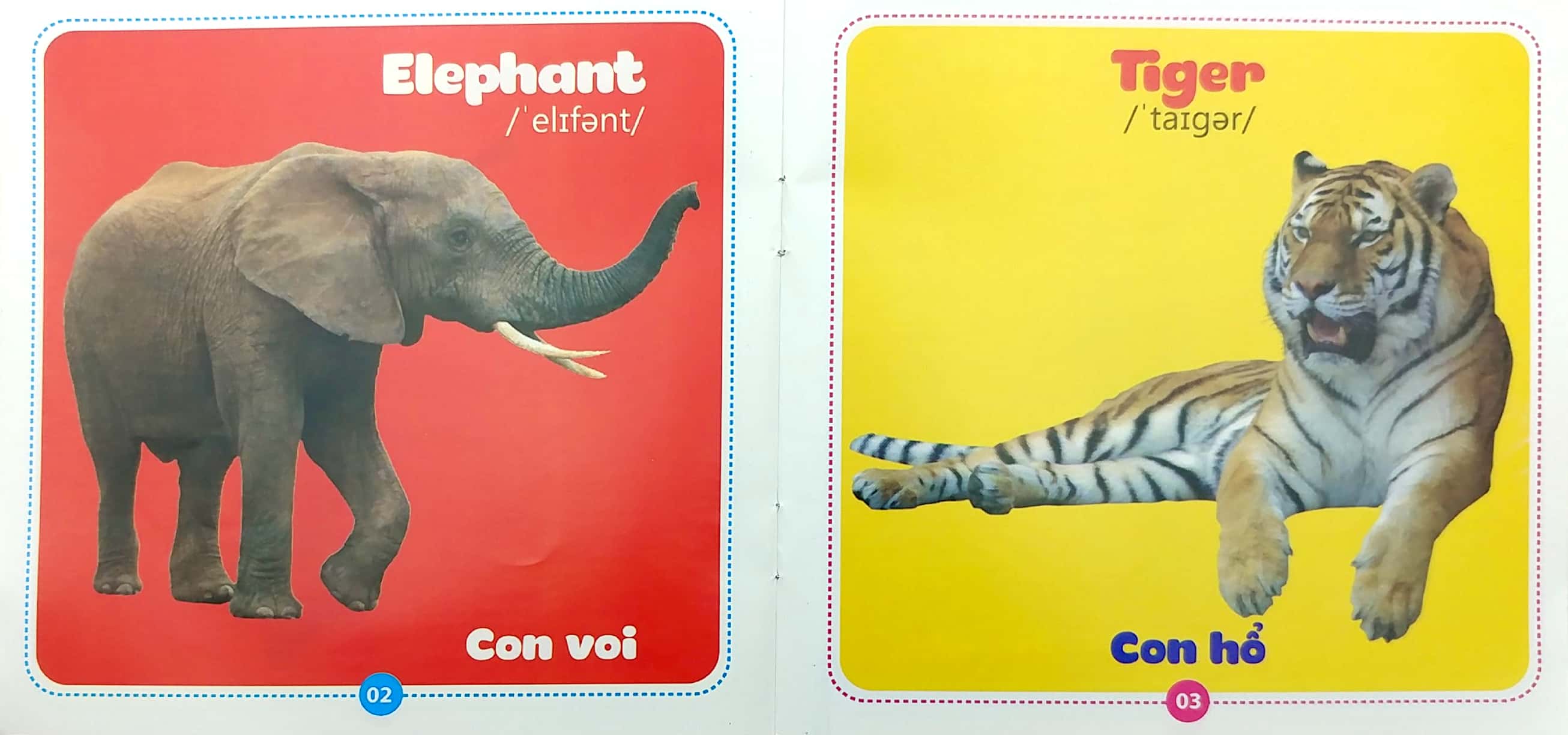 bộ sách từ điển bằng hình cho bé (song ngữ anh-việt) - bộ 10 cuốn - Ảnh 18