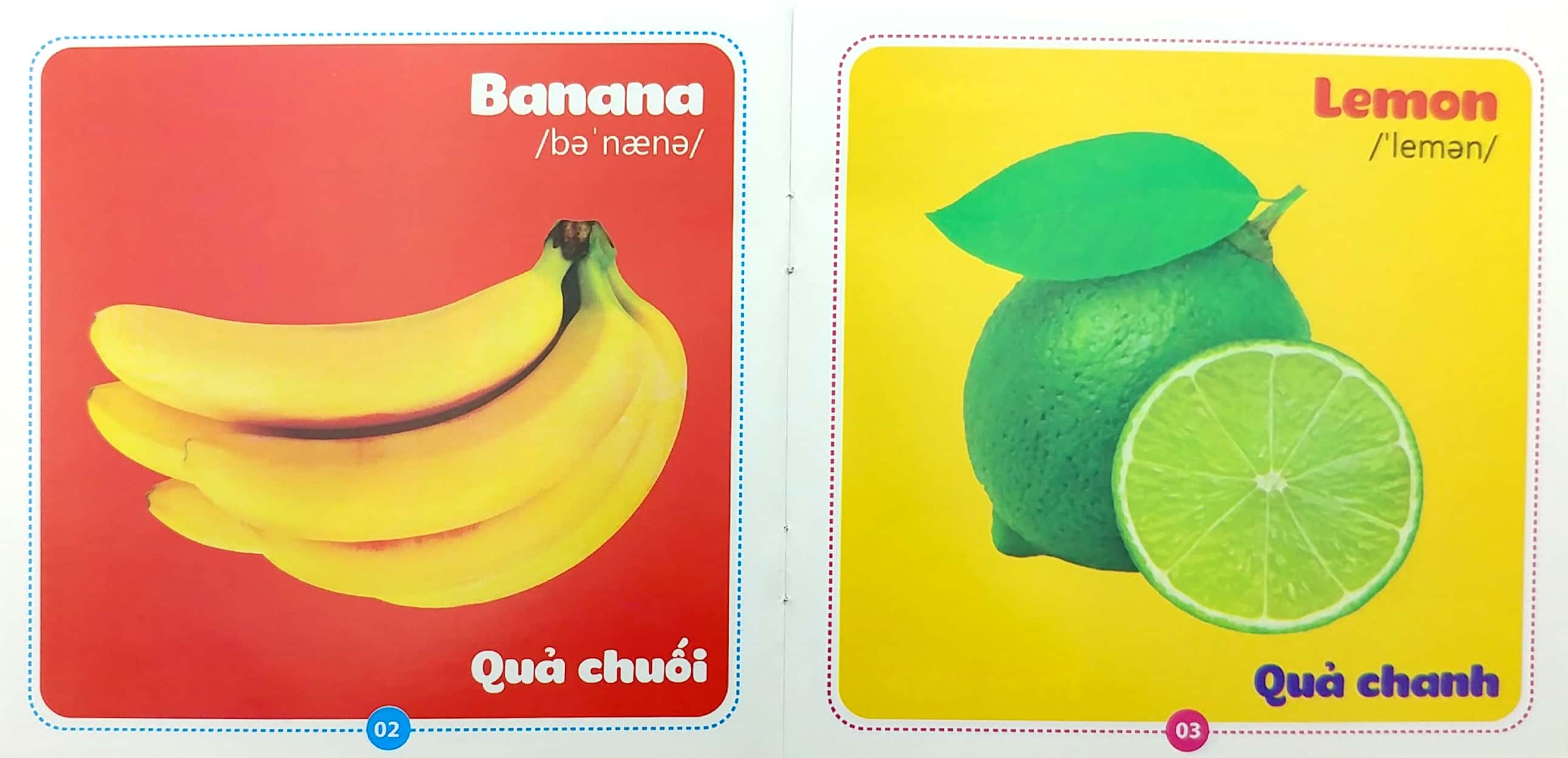 bộ sách từ điển bằng hình cho bé (song ngữ anh-việt) - bộ 10 cuốn - Ảnh 6