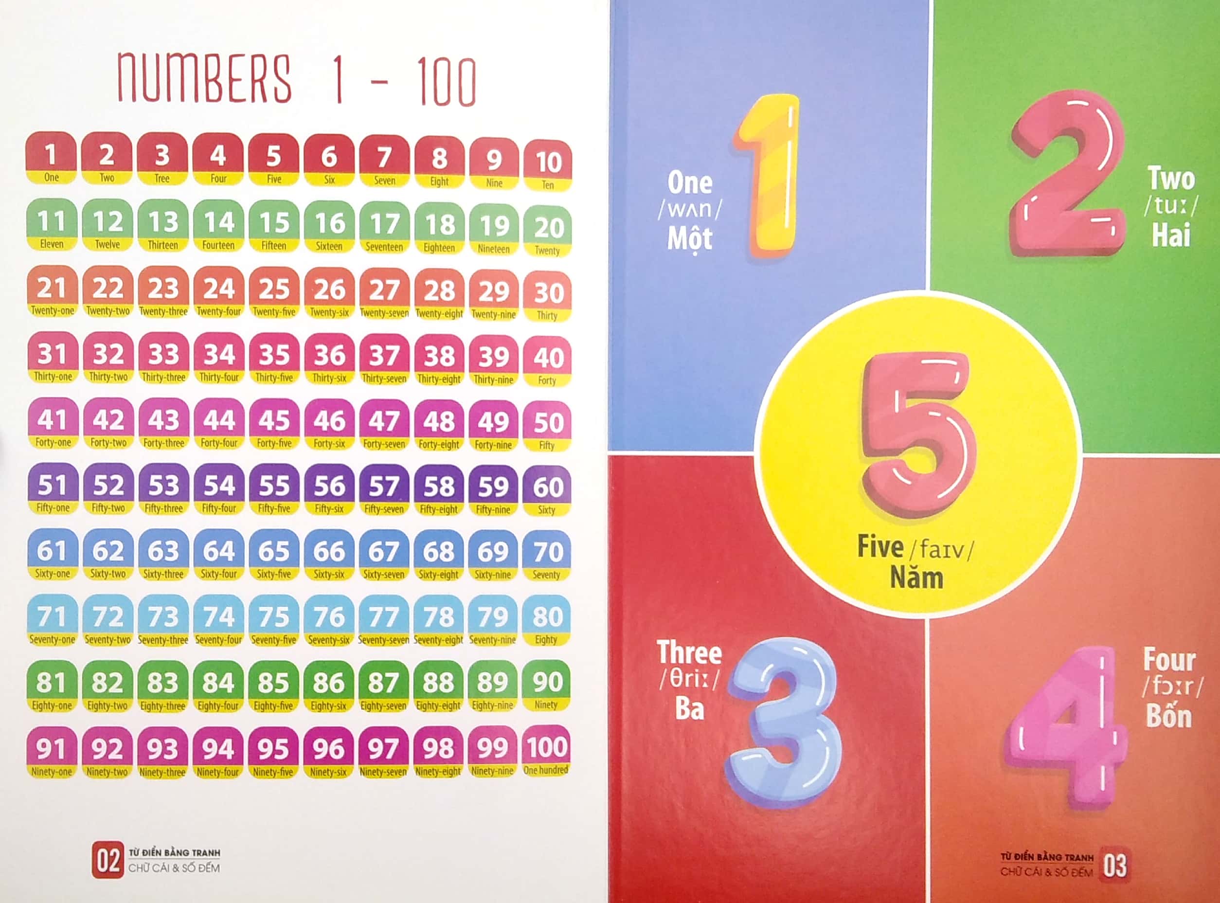 bộ sách từ điển bằng tranh: hoa, quả, rau củ - chữ cái và số đếm - phương tiện giao thông (bộ 3 cuốn) - Ảnh 9
