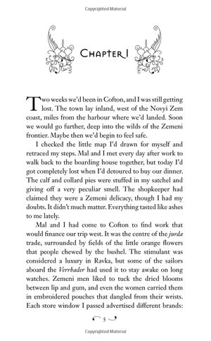 bộ shadow and bone book 2: siege and storm - Ảnh 7