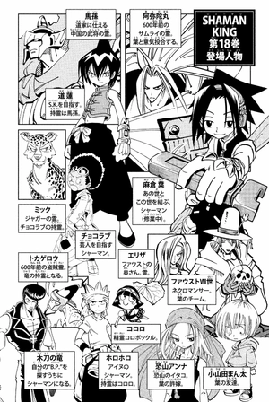 bộ shaman king 18 - Ảnh 4