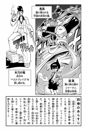 bộ shaman king 2 - Ảnh 5