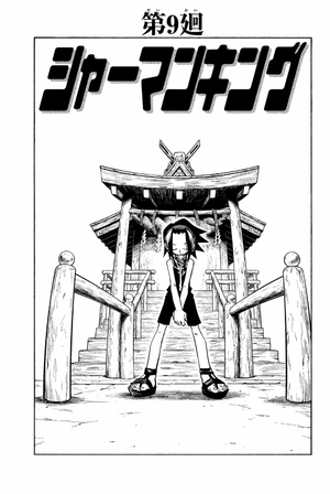 bộ shaman king 2 - Ảnh 9