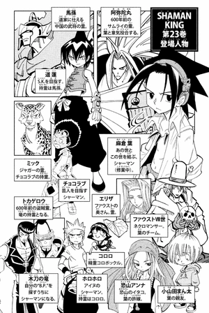 bộ shaman king 23 - Ảnh 5