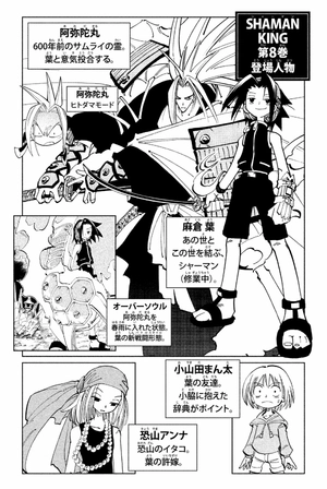 bộ shaman king 8 - Ảnh 4