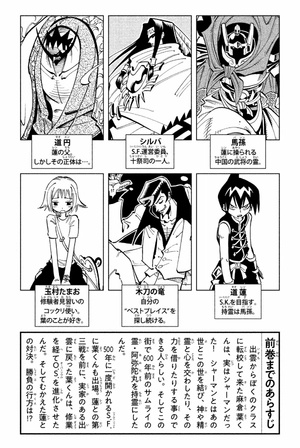 bộ shaman king 8 - Ảnh 5