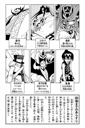 bộ shaman king 9 - Ảnh 6