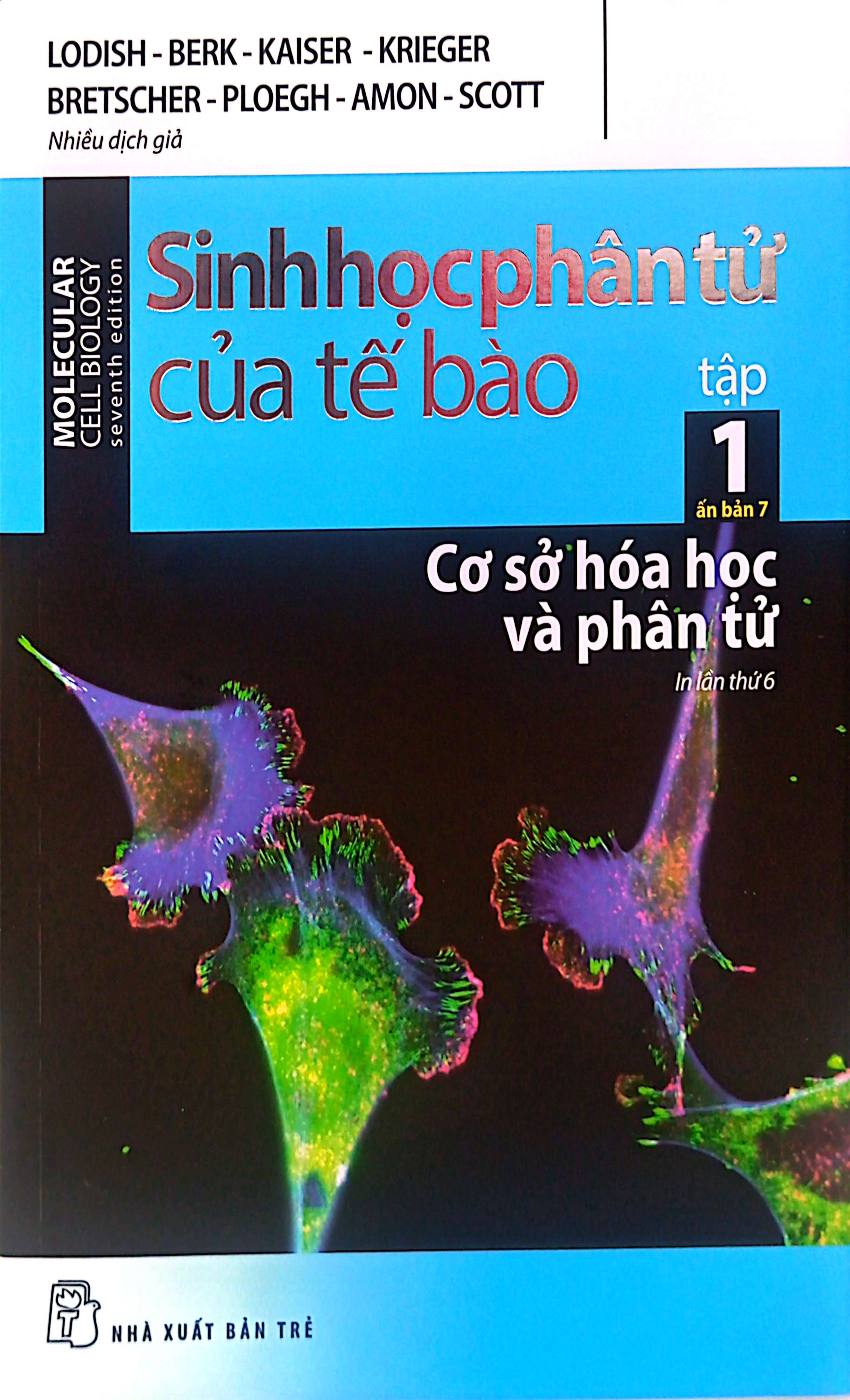 Bộ Sinh Học Phân Tử Của Tế Bào - Tập 1 - Cơ Sở Hoá Học Và Phân Tử (Tái Bản 2024) - Ảnh 2