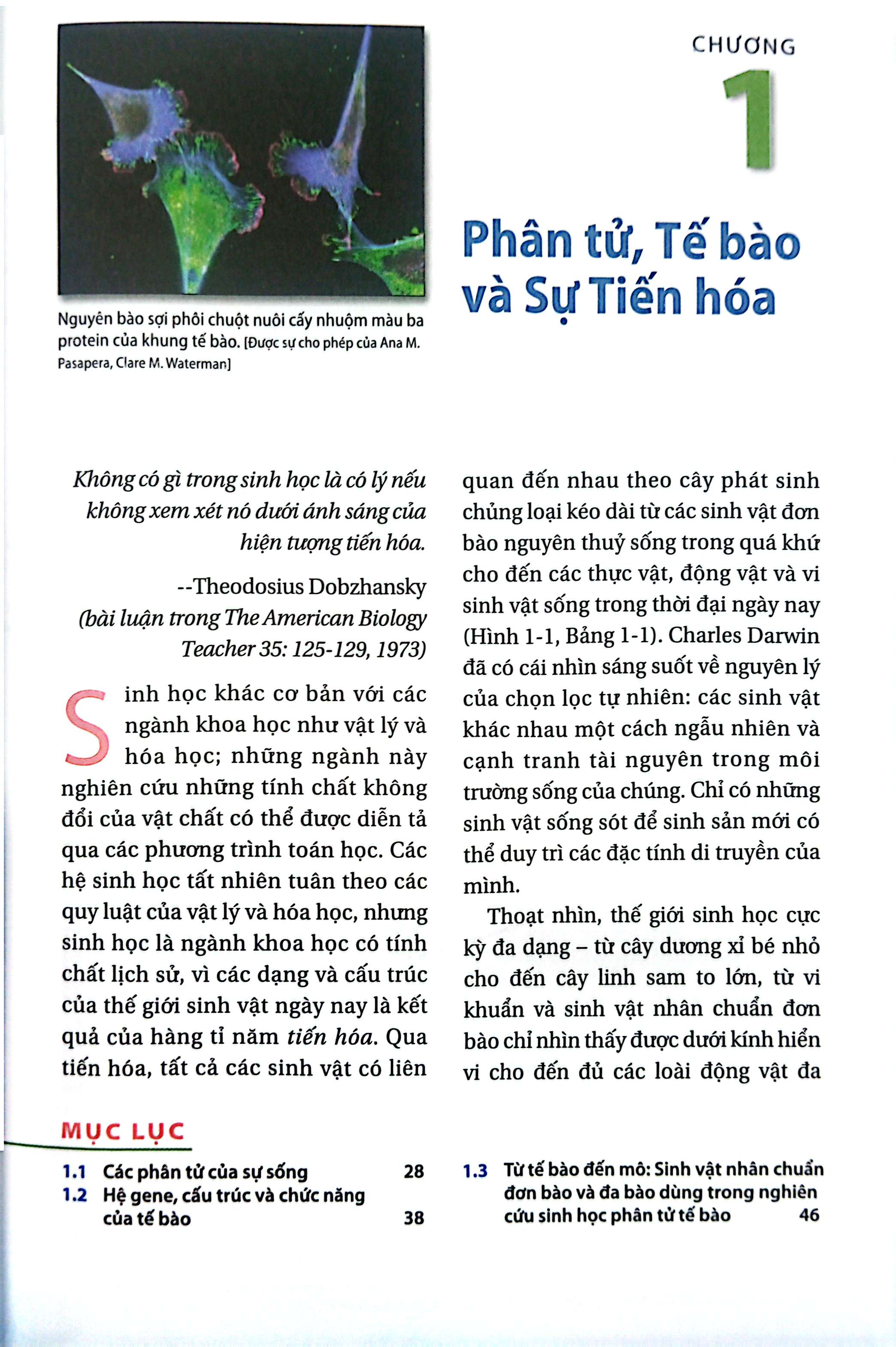 Bộ Sinh Học Phân Tử Của Tế Bào - Tập 1 - Cơ Sở Hoá Học Và Phân Tử (Tái Bản 2024) - Ảnh 4