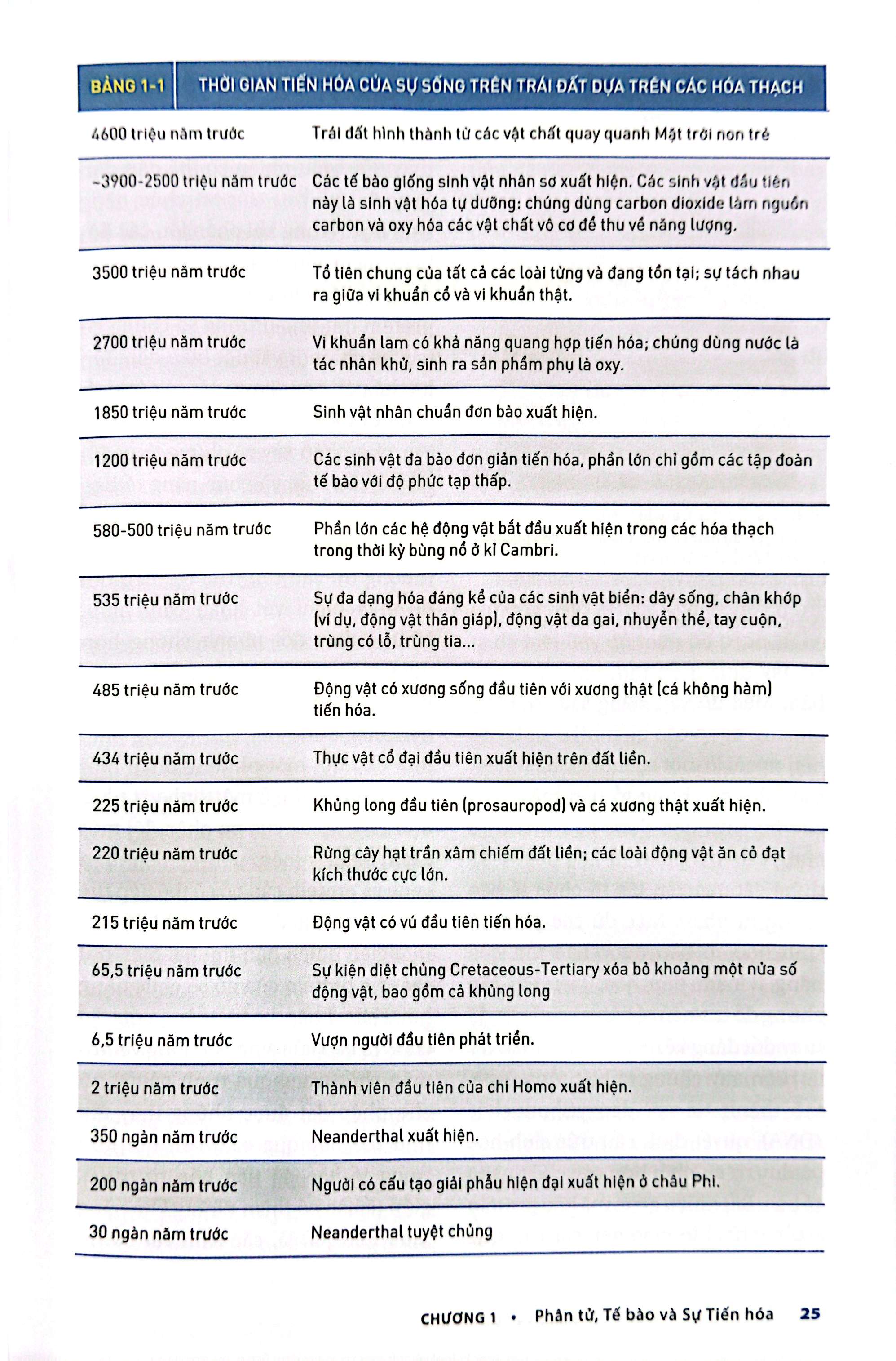 Bộ Sinh Học Phân Tử Của Tế Bào - Tập 1 - Cơ Sở Hoá Học Và Phân Tử (Tái Bản 2024) - Ảnh 6