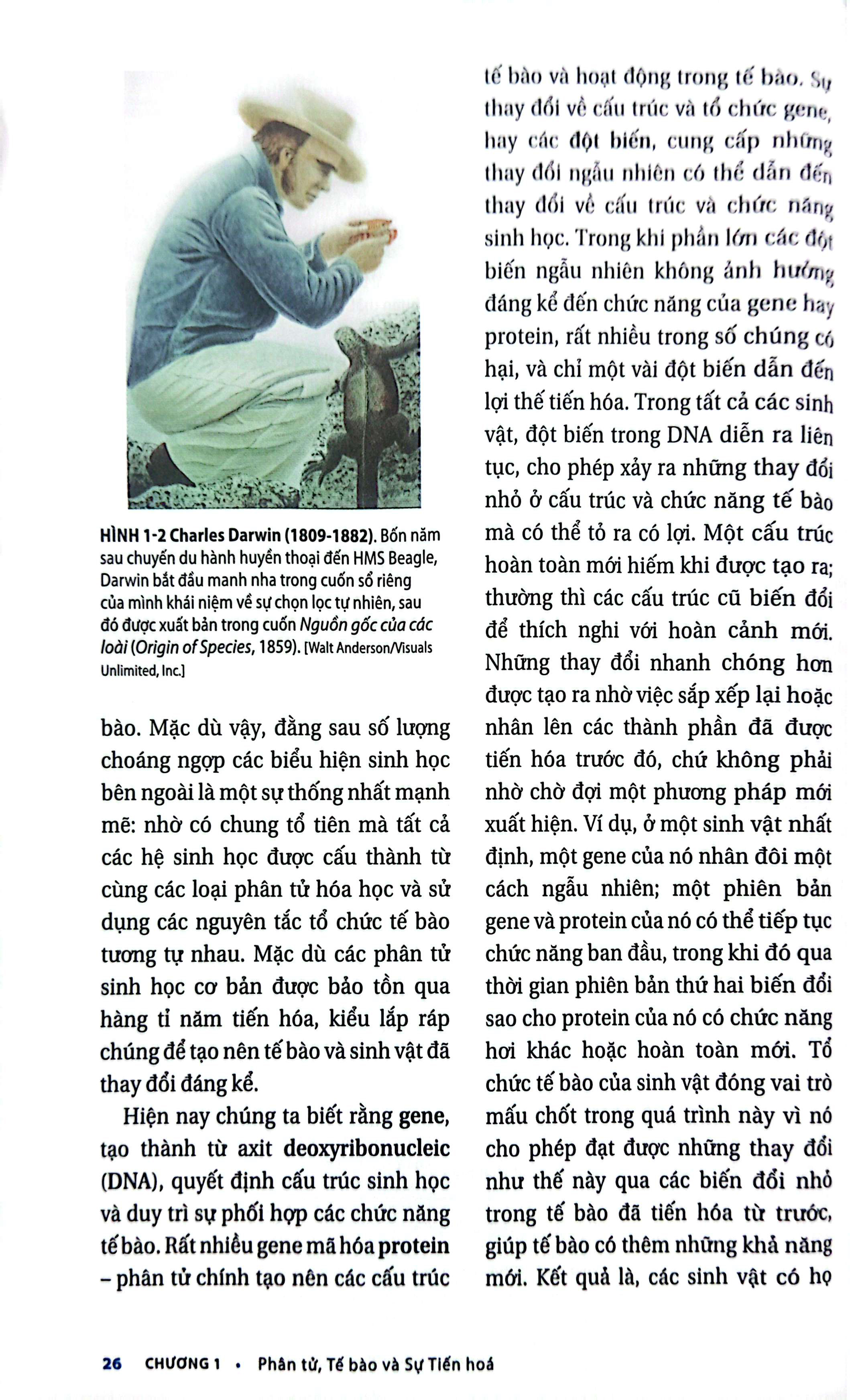 Bộ Sinh Học Phân Tử Của Tế Bào - Tập 1 - Cơ Sở Hoá Học Và Phân Tử (Tái Bản 2024) - Ảnh 7