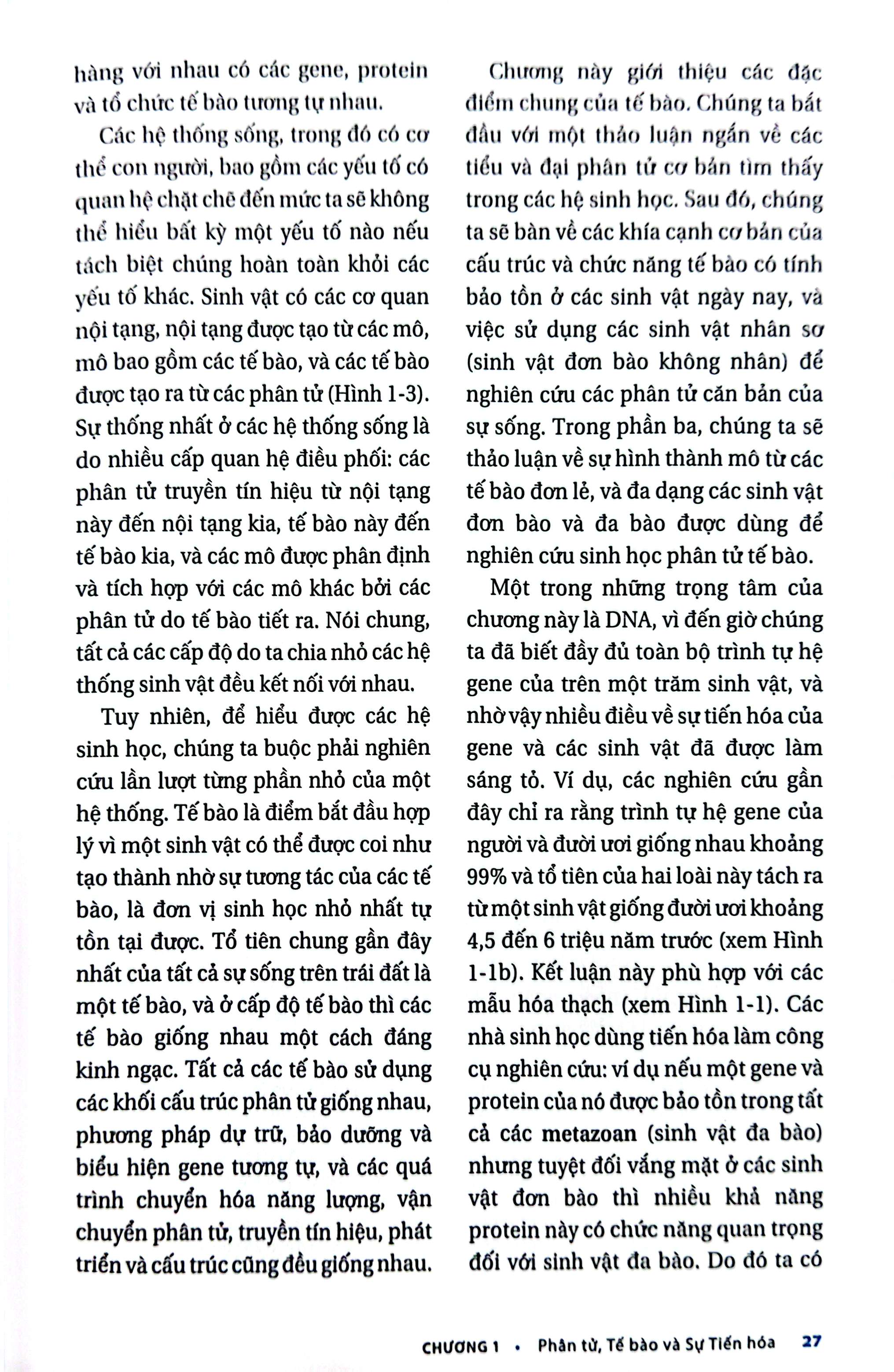 Bộ Sinh Học Phân Tử Của Tế Bào - Tập 1 - Cơ Sở Hoá Học Và Phân Tử (Tái Bản 2024) - Ảnh 8