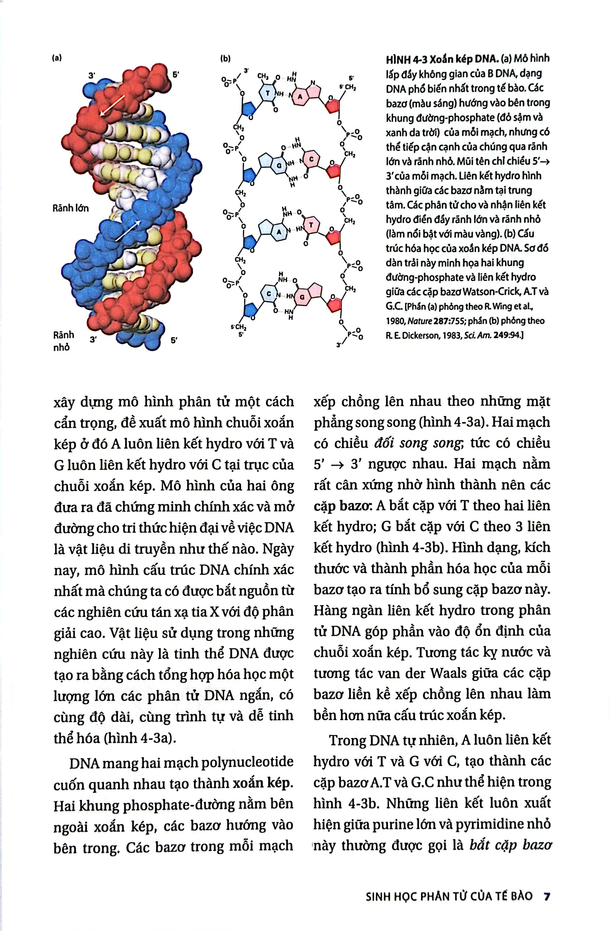 Bộ Sinh Học Phân Tử Của Tế Bào - Tập 2 - Di Truyền Học Và Sinh Học Phân Tử (Tái Bản 2024) - Ảnh 6