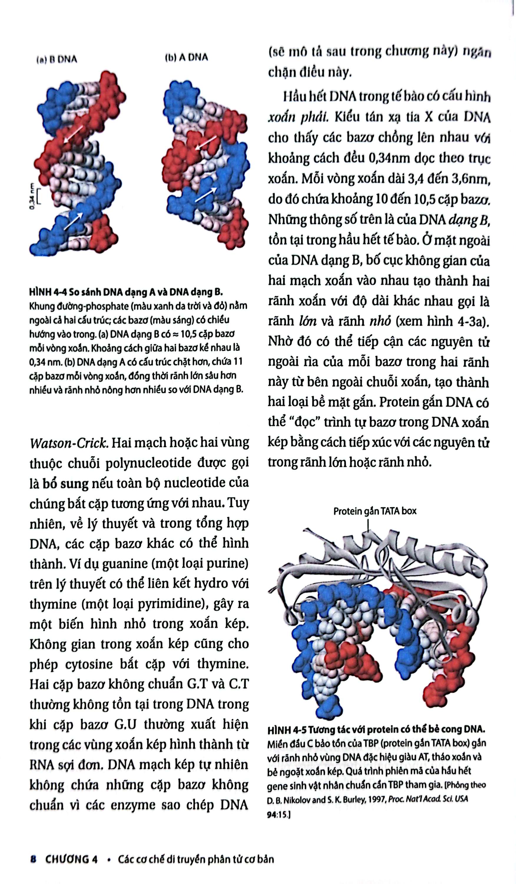 Bộ Sinh Học Phân Tử Của Tế Bào - Tập 2 - Di Truyền Học Và Sinh Học Phân Tử (Tái Bản 2024) - Ảnh 7