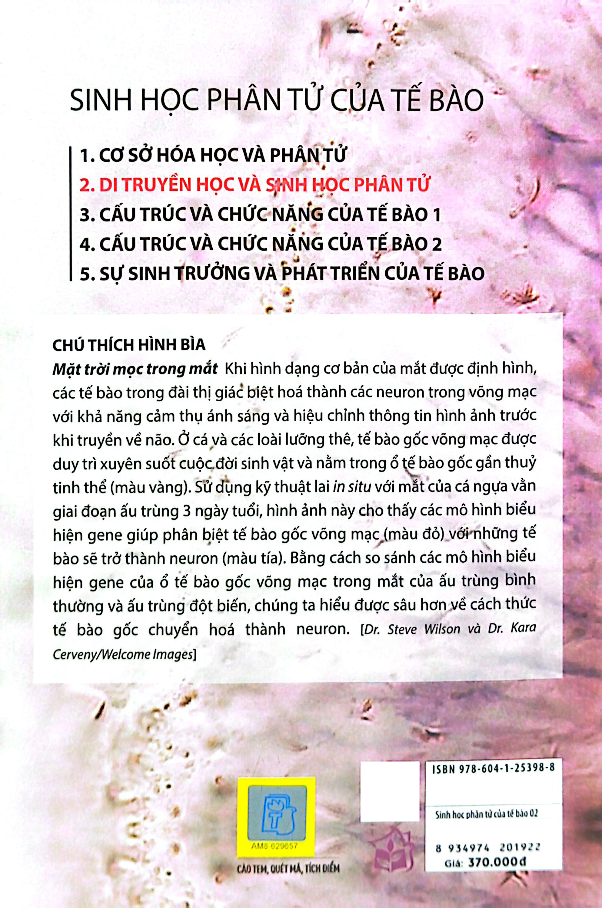 Bộ Sinh Học Phân Tử Của Tế Bào - Tập 2 - Di Truyền Học Và Sinh Học Phân Tử (Tái Bản 2024) - Ảnh 8