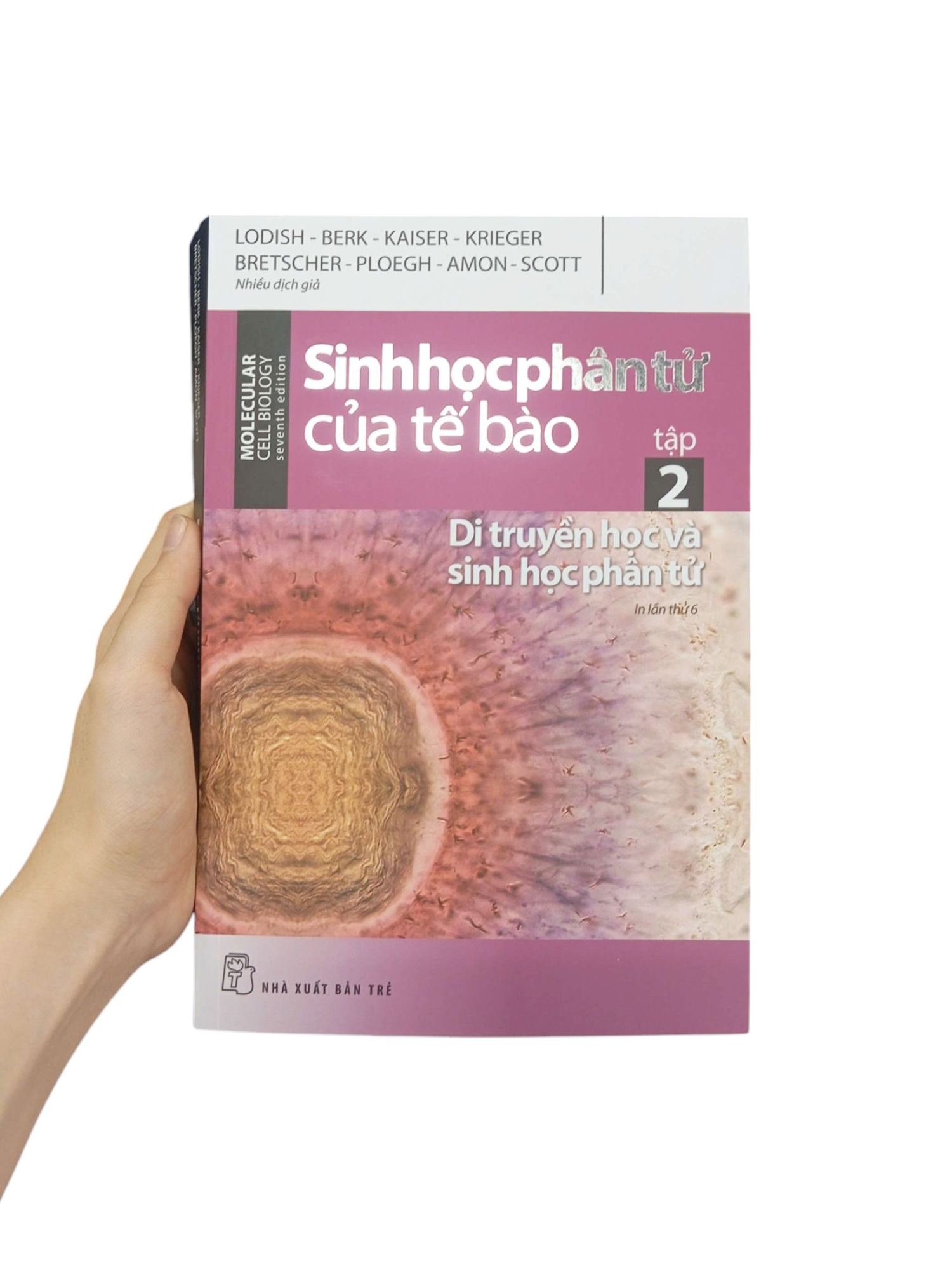 Bộ Sinh Học Phân Tử Của Tế Bào - Tập 2 - Di Truyền Học Và Sinh Học Phân Tử (Tái Bản 2024) - Ảnh 9