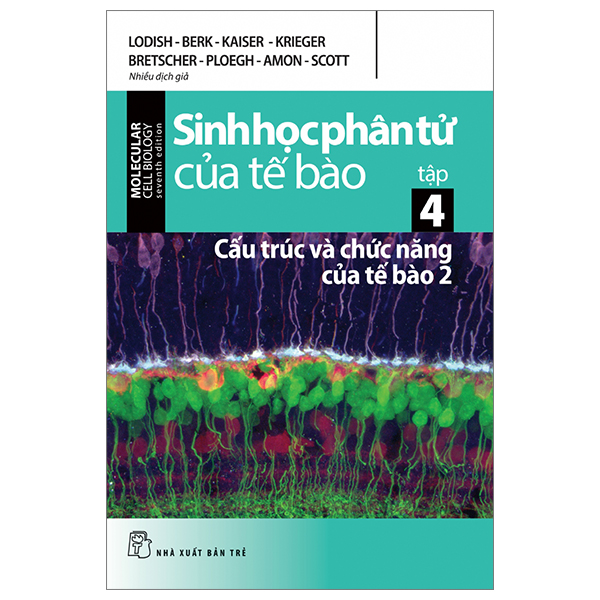 Bộ Sinh Học Phân Tử Của Tế Bào - Tập 4 - Cấu Trúc Và Chức Năng Của Tế Bào 2 (Tái Bản 2024)