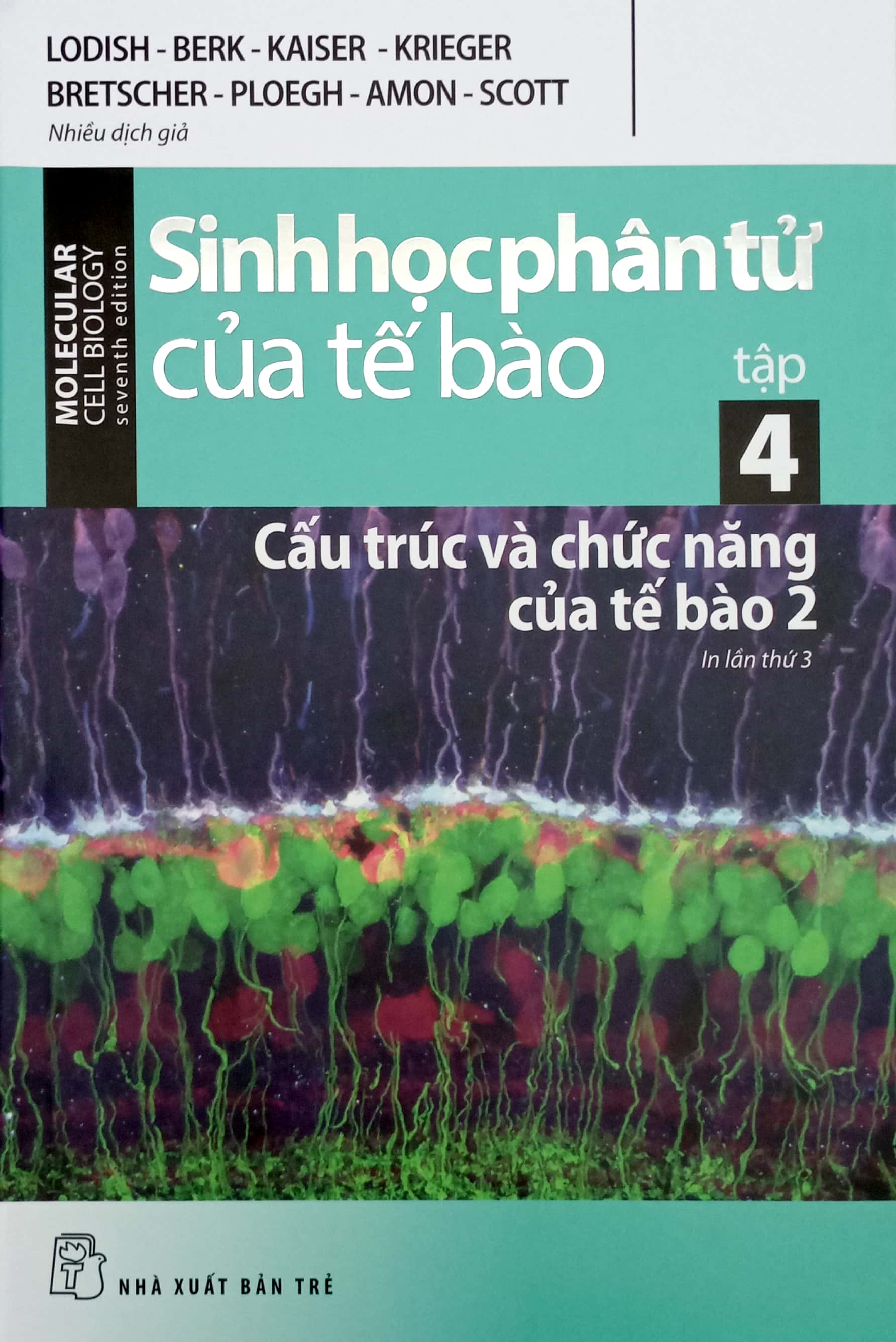 Bộ Sinh Học Phân Tử Của Tế Bào - Tập 4 - Cấu Trúc Và Chức Năng Của Tế Bào 2 (Tái Bản 2024) - Ảnh 2