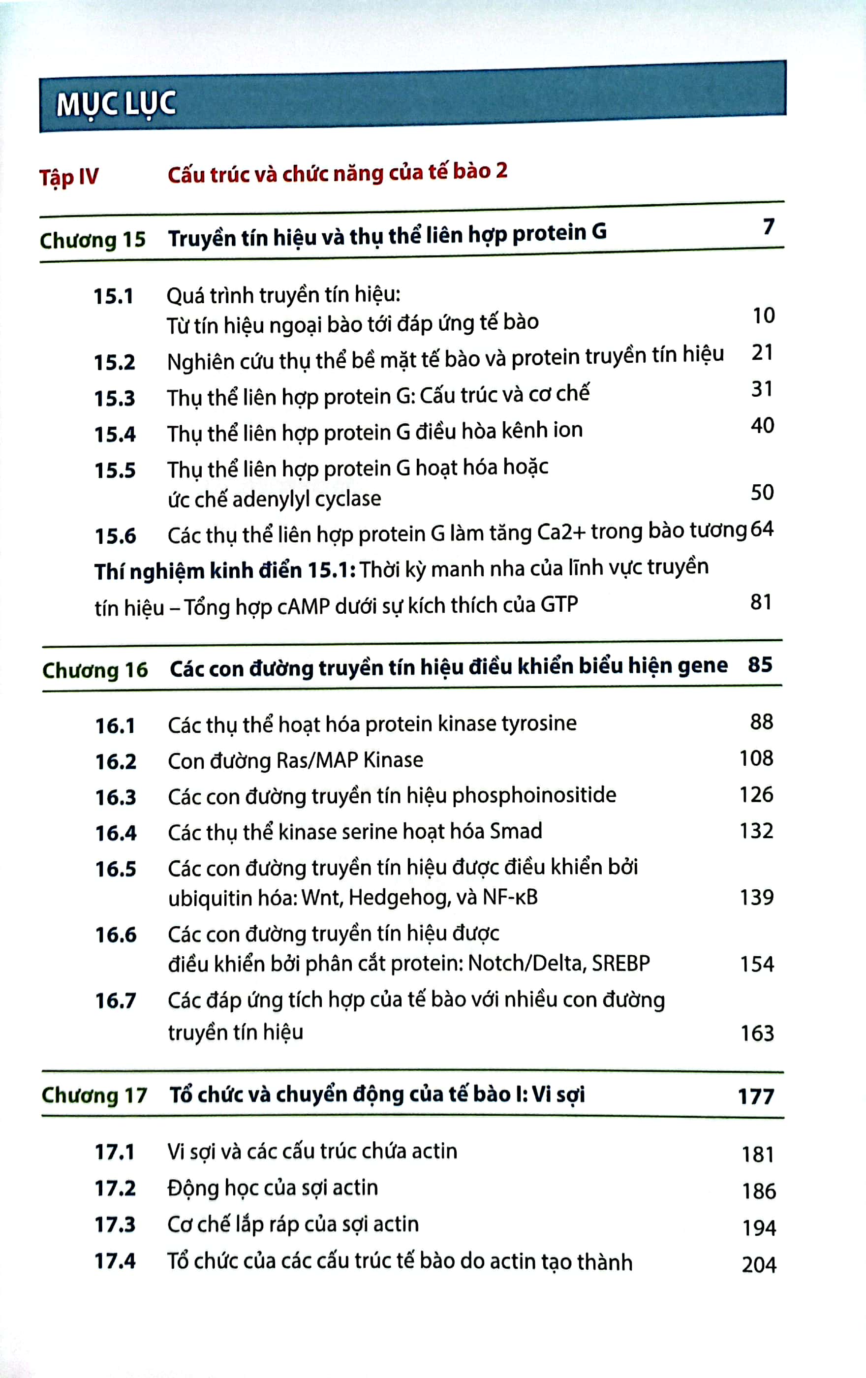 Bộ Sinh Học Phân Tử Của Tế Bào - Tập 4 - Cấu Trúc Và Chức Năng Của Tế Bào 2 (Tái Bản 2024) - Ảnh 3