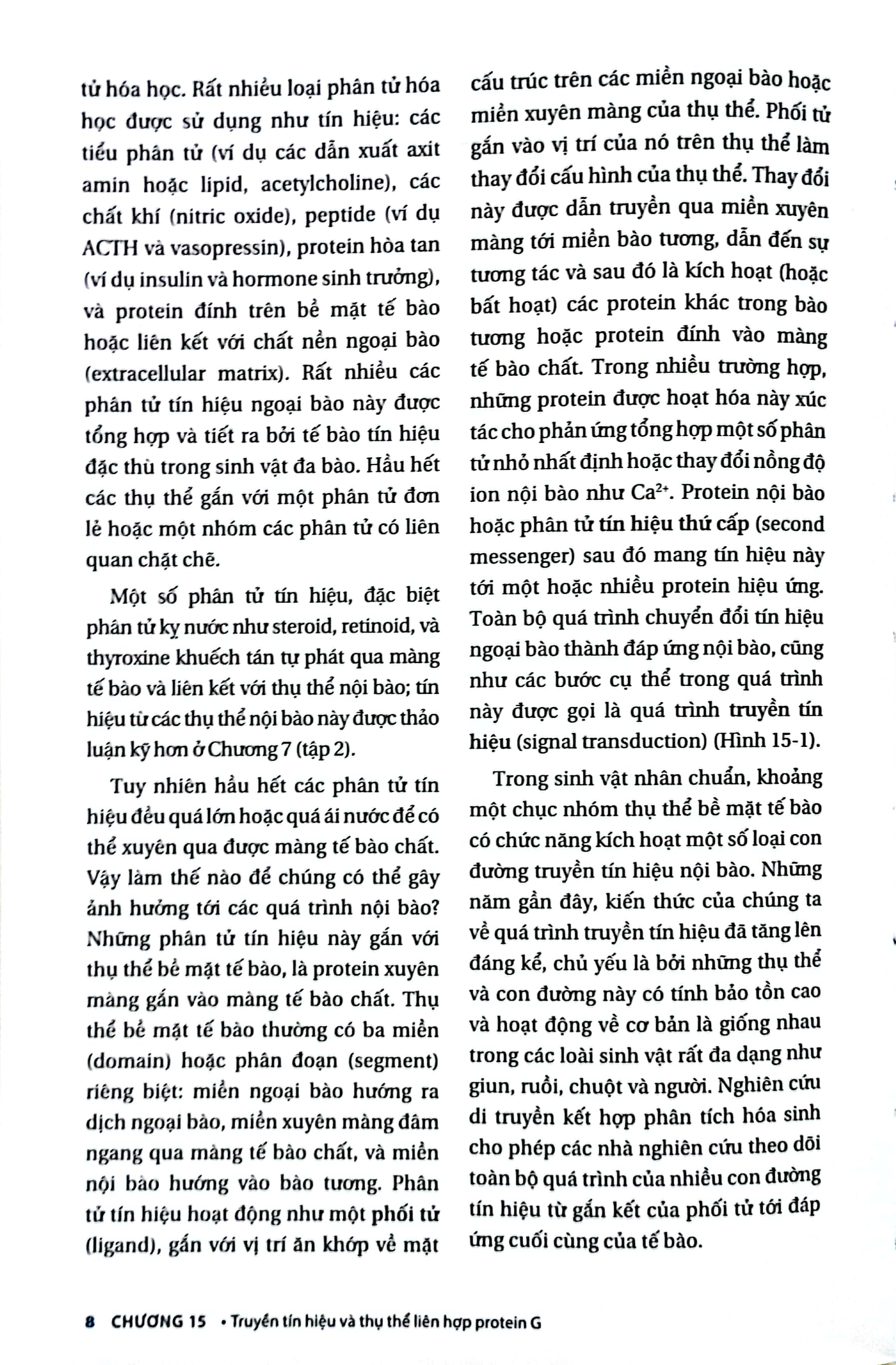Bộ Sinh Học Phân Tử Của Tế Bào - Tập 4 - Cấu Trúc Và Chức Năng Của Tế Bào 2 (Tái Bản 2024) - Ảnh 5