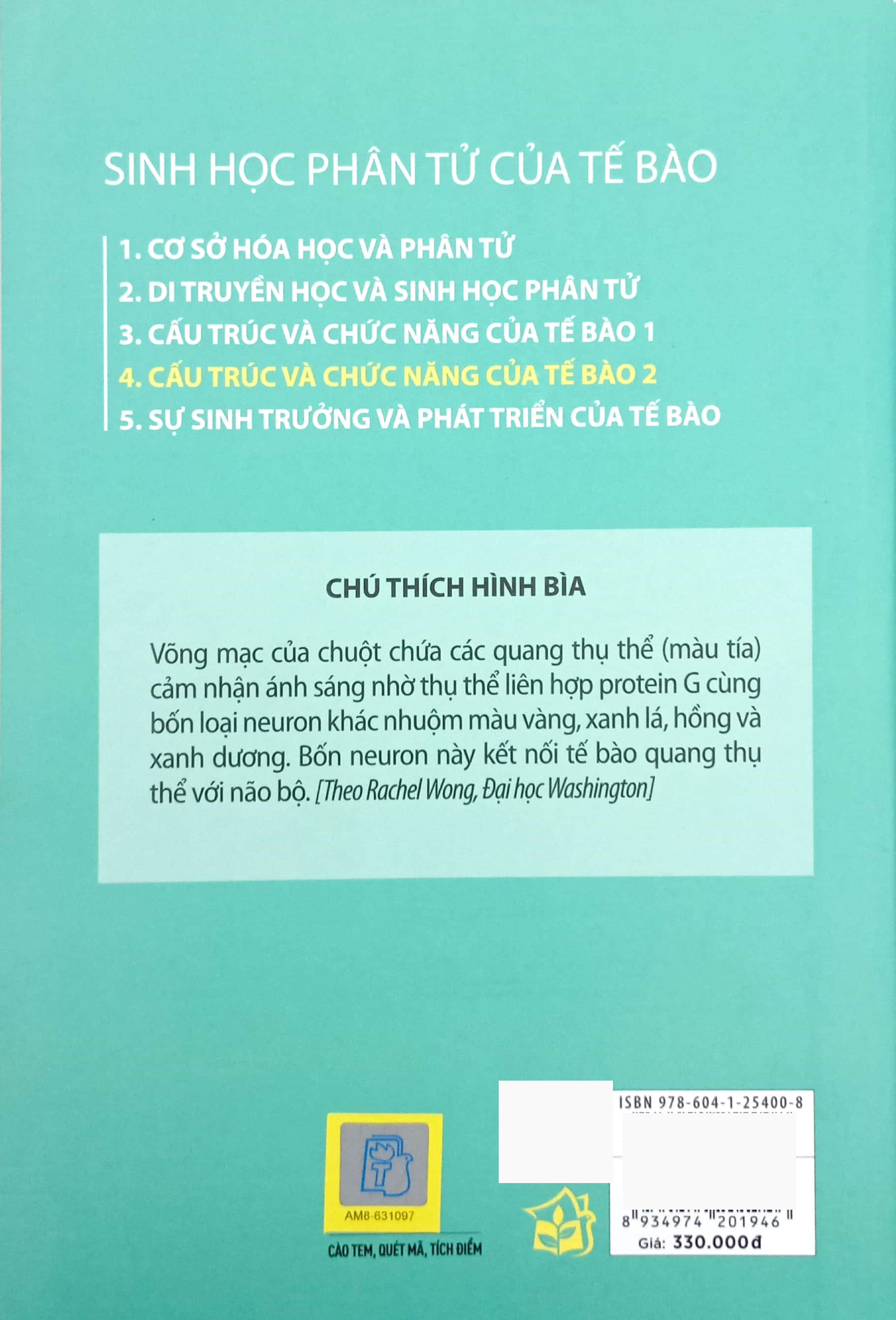 Bộ Sinh Học Phân Tử Của Tế Bào - Tập 4 - Cấu Trúc Và Chức Năng Của Tế Bào 2 (Tái Bản 2024) - Ảnh 6