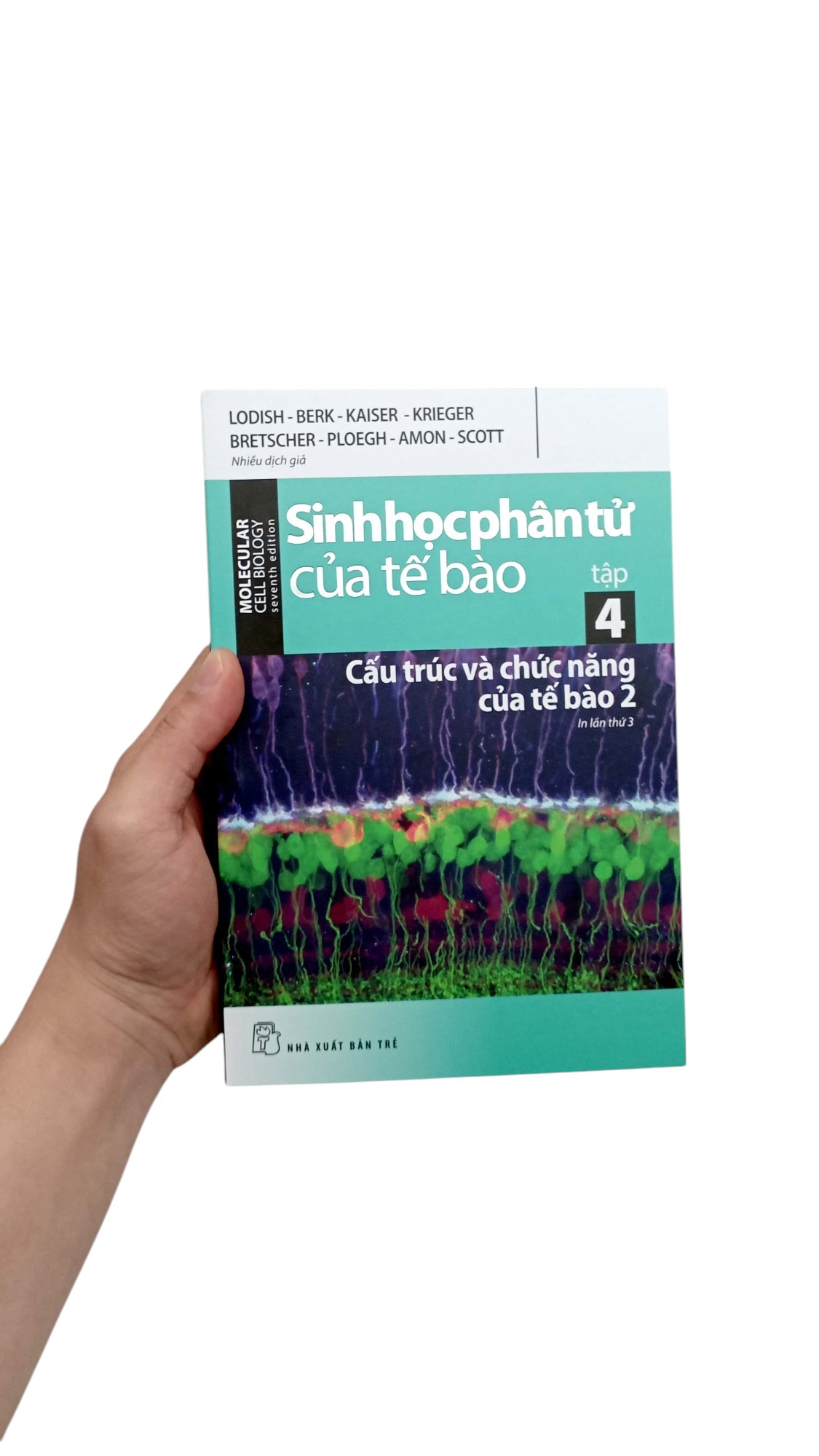 Bộ Sinh Học Phân Tử Của Tế Bào - Tập 4 - Cấu Trúc Và Chức Năng Của Tế Bào 2 (Tái Bản 2024) - Ảnh 7