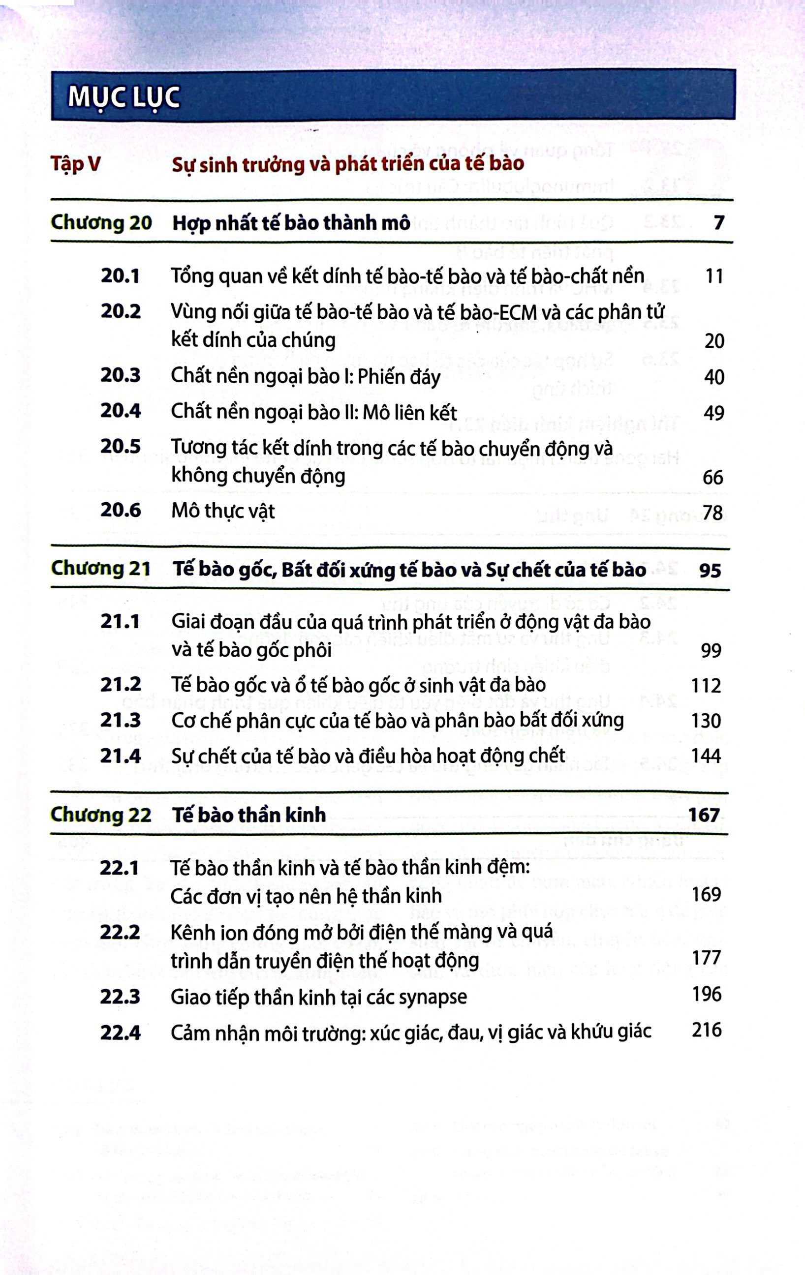Bộ Sinh Học Phân Tử Của Tế Bào - Tập 5 - Sự Sinh Trưởng & Phát Triển Của Tế Bào (Tái Bản 2024) - Ảnh 3