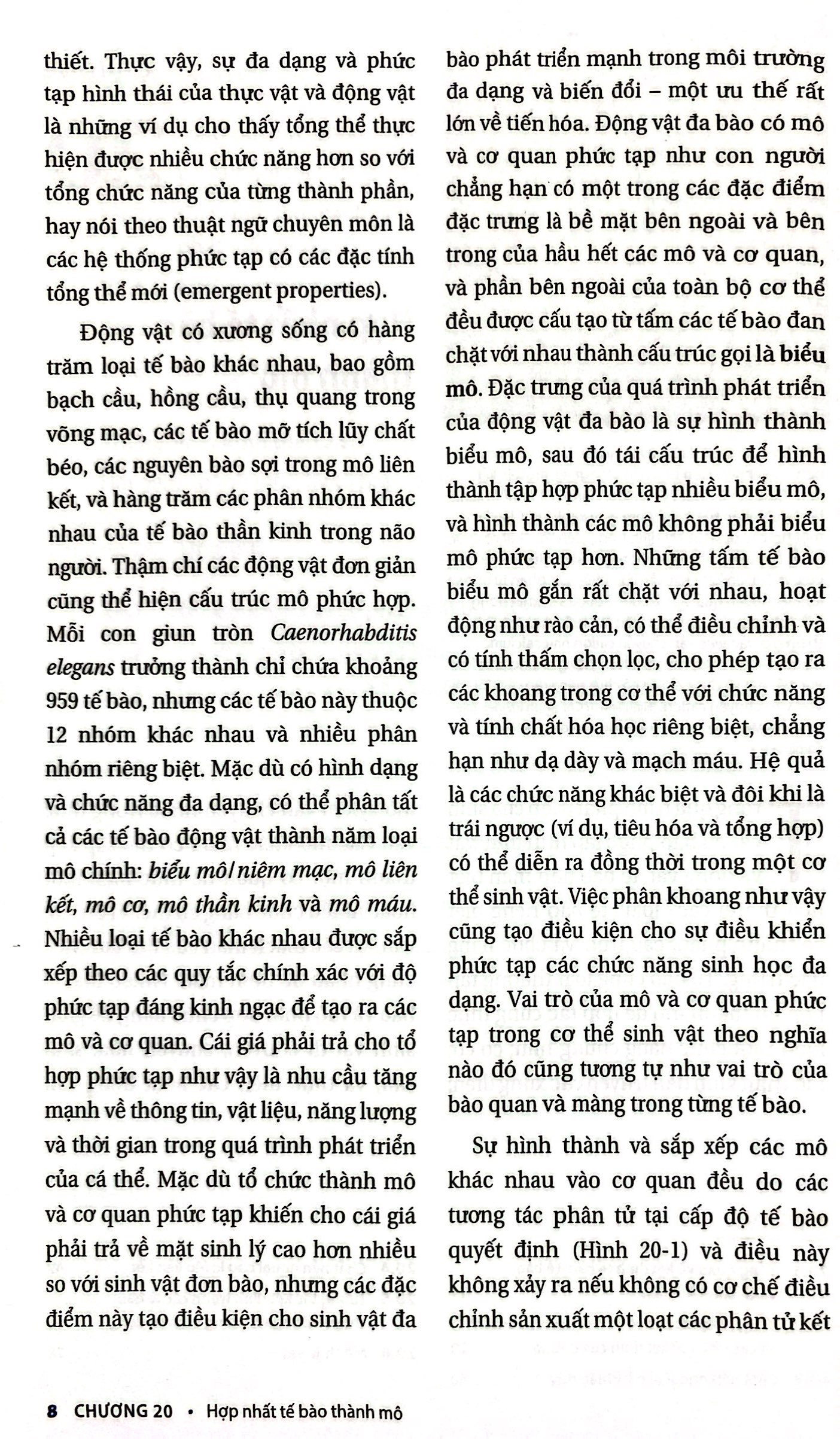 Bộ Sinh Học Phân Tử Của Tế Bào - Tập 5 - Sự Sinh Trưởng & Phát Triển Của Tế Bào (Tái Bản 2024) - Ảnh 6