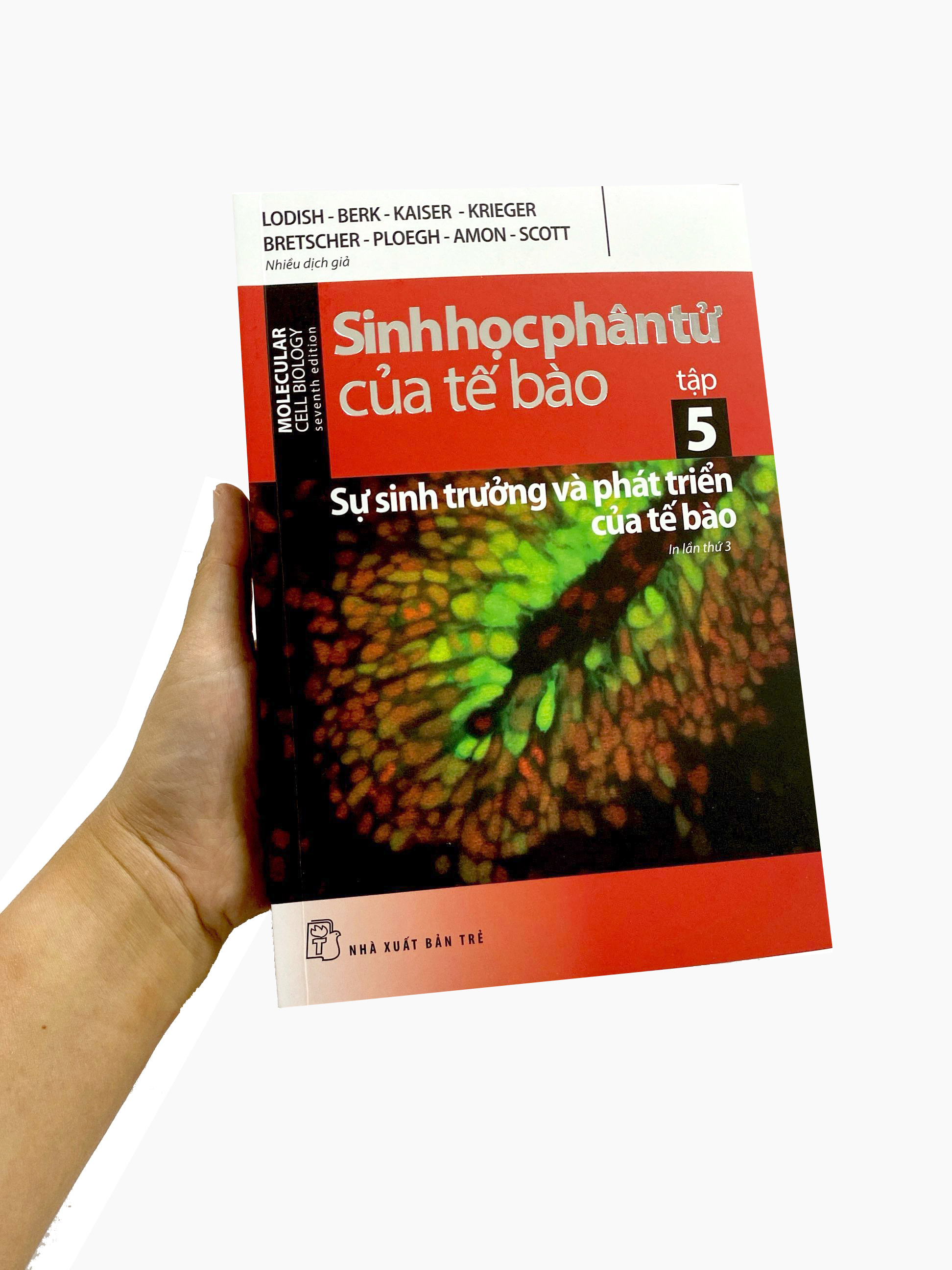 Bộ Sinh Học Phân Tử Của Tế Bào - Tập 5 - Sự Sinh Trưởng & Phát Triển Của Tế Bào (Tái Bản 2024) - Ảnh 9