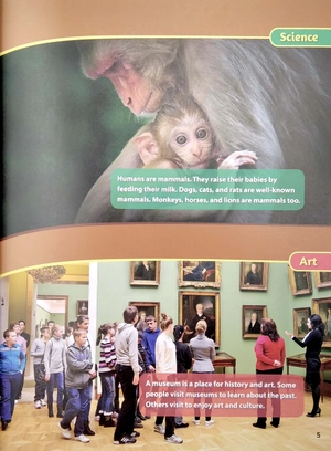 bộ smart reading 5-1 (130 words) - Ảnh 6