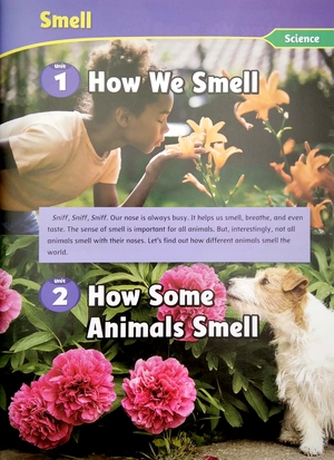 bộ smart reading 6-1 (180 words) - Ảnh 5