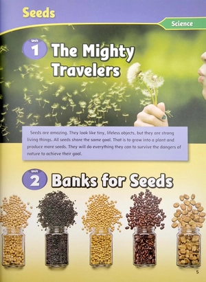 bộ smart reading 6-2 (200 words) - Ảnh 5