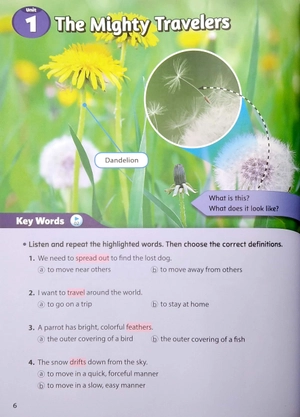 bộ smart reading 6-2 (200 words) - Ảnh 6