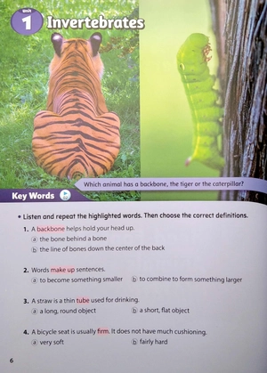 bộ smart reading 6-3 (220 words) - Ảnh 6