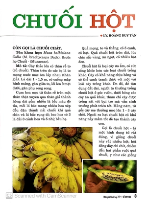 bộ sổ tay y học - những bài thuốc hay 39 - Ảnh 4