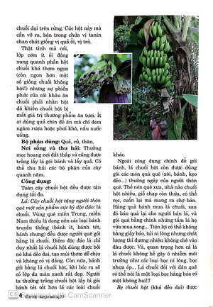 bộ sổ tay y học - những bài thuốc hay 39 - Ảnh 5