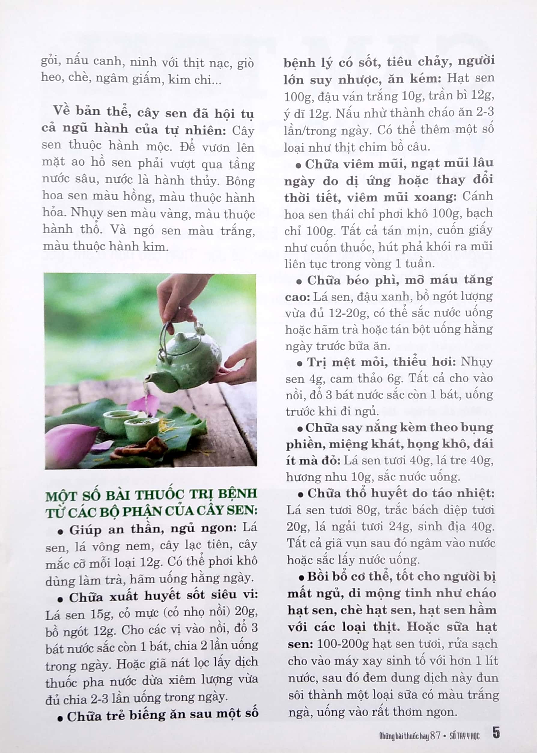 Bộ
Sổ Tay Y Học - Những Bài Thuốc Hay 87 - Ảnh 6