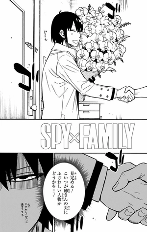 bộ spy x family 3 - Ảnh 10